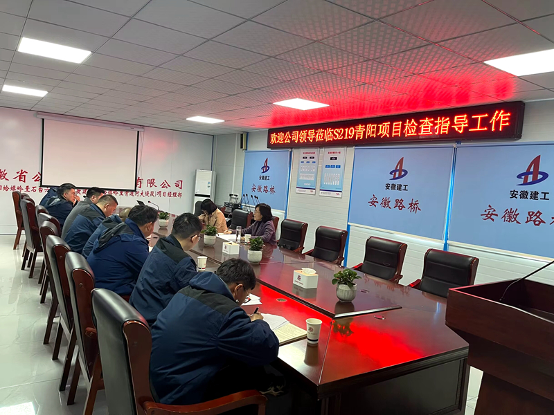 公司黨委委員、紀委書記王鵬到S219青陽改建項目調(diào)研指導(dǎo)工作